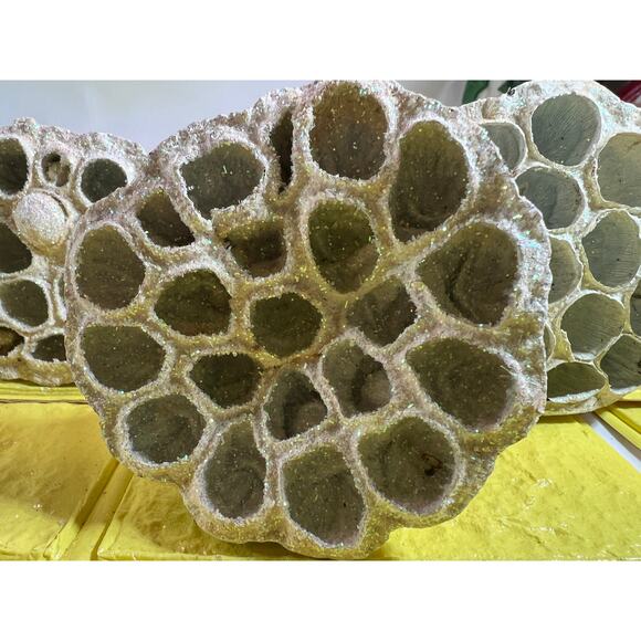 Vintage Lotus Seed Pod Floral Picks Christmas Holiday White Silver Set - Picture 6 of 16